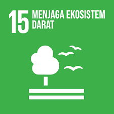 sdgs